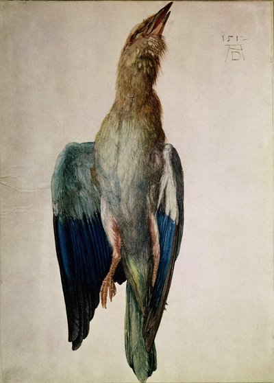 Blue Crow by Albrecht Dürer